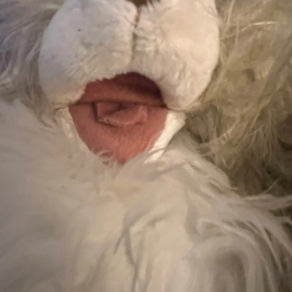 Folkmanis Hand Puppet 12